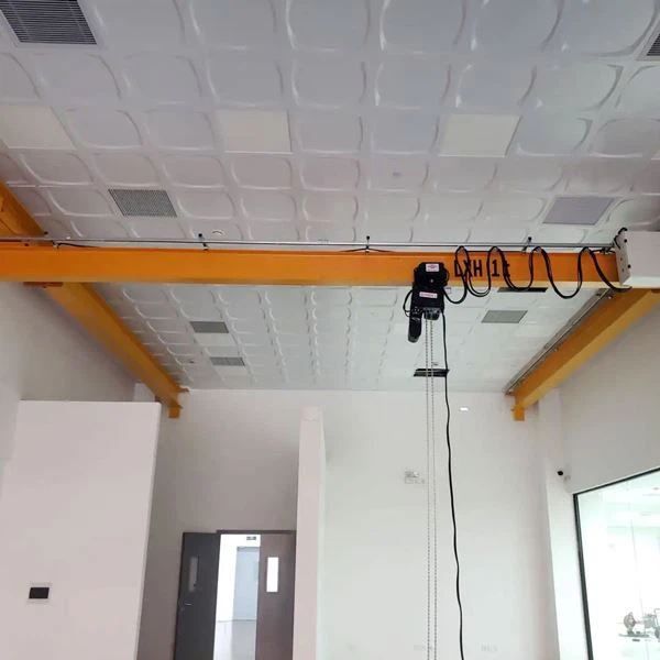 ton European Overhead Crane manufacturer